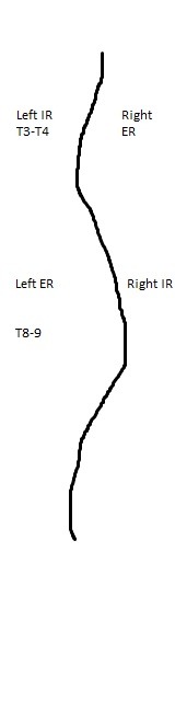 Course Notes: Advanced Integration Day 4 – Curvature of the Spine ...