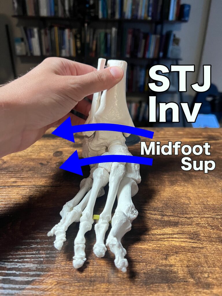 The Hidden Key For Ankle Mobility Zaccupples